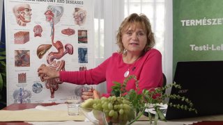 Hatvani Galina: Puffadás, gyomorsav, máj – és a meddőség? Meglepő összefüggések az emésztés és a krónikus betegségek között