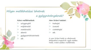 Szikora Hilda: A gyógynövények mellékhatásai